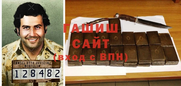 стаф Алексин