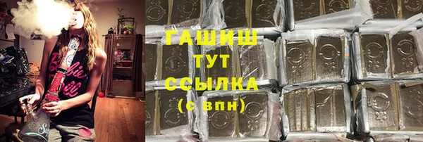гидра Арсеньев