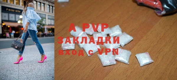 стаф Алексин